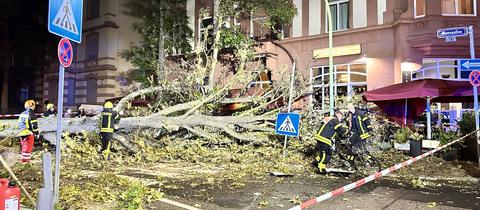 Feuerwehrleute arbeiten an Baum, der auf eine Straße und auf den Außenbereich eines Restaurants gefallen ist