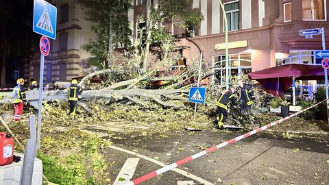 Feuerwehrleute arbeiten an Baum, der auf eine Straße und auf den Außenbereich eines Restaurants gefallen ist