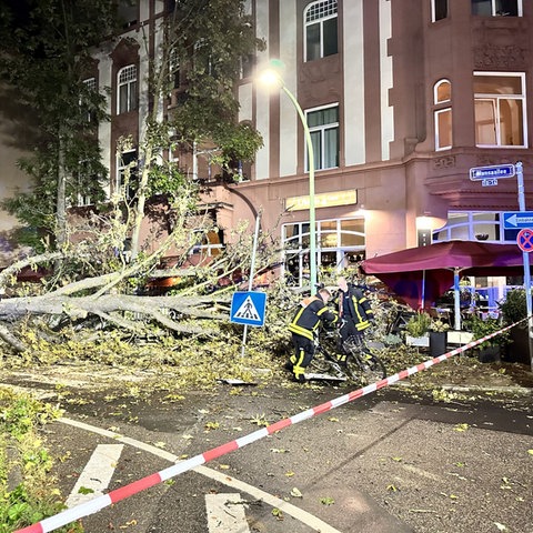 Feuerwehrleute arbeiten an Baum, der auf eine Straße und auf den Außenbereich eines Restaurants gefallen ist