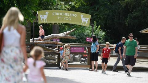 Streichelzoo im Zoo Frankfurt