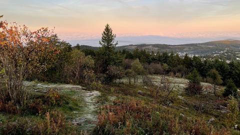 Spuren der Frostnacht auf dem Feldberg im Taunus