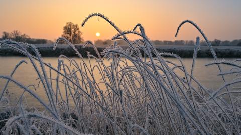 Frostiger Morgen