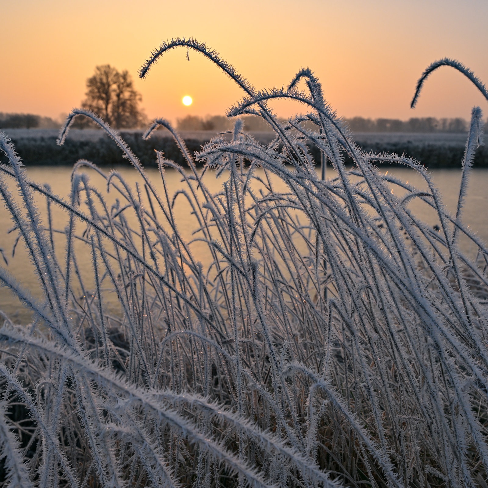 https://www.hessenschau.de/panorama/frost-morgen-100~_t-1697364022487_v-1to1__xlarge.jpg