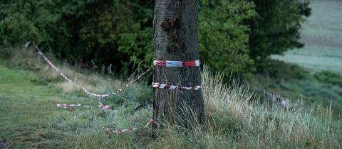 Absperrband an Baum