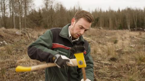 Waldsterben depressive Förster