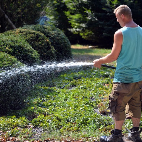 Mann spritzt Garten mit Wasser aus Schlauch
