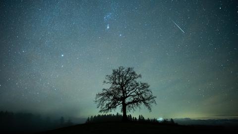 Eine Sternschnuppe der Geminiden fliegt über den Nachthimmel