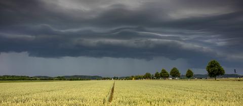 Gewitterwolken ballen sich über einem Getreidefeld zusammen.