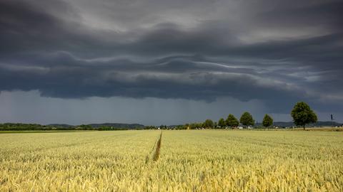 Gewitterwolken ballen sich über einem Getreidefeld zusammen.