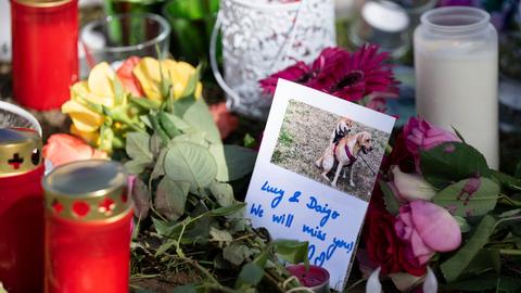 Totenlichter, Blumen und Fotos der vergifteten Hunde am Rande der Hundewiese im Frankfurter Stadtteil Riedberg.