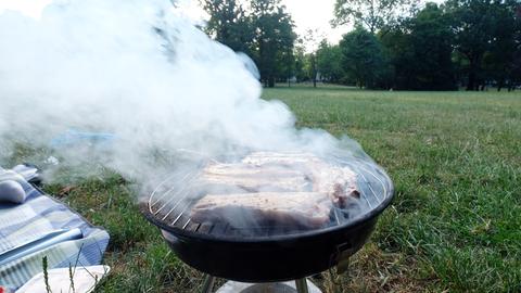 07.06.2018, Sachsen, Leipzig: Grillen an einem Sommerabend im Clara-Zetkin-Park. 