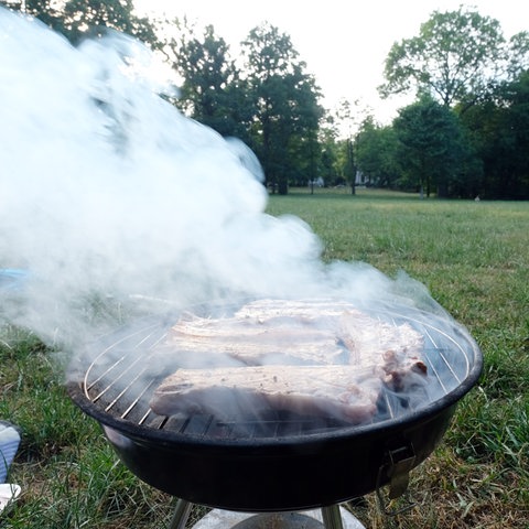 07.06.2018, Sachsen, Leipzig: Grillen an einem Sommerabend im Clara-Zetkin-Park. 