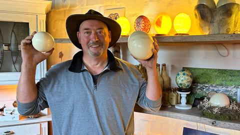 Straußenfarmer Uwe Schrage hält das größte Straußenei Deutschlands in der einen, und das kleinste seiner Farm in der anderen Hand.