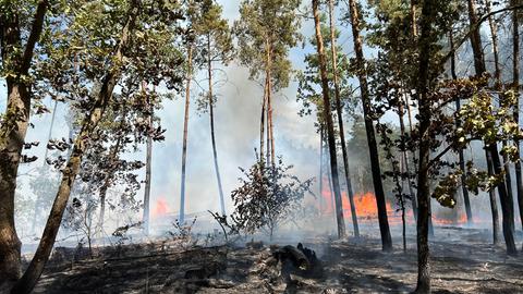 In einem Waldstück brennt es - Feuer auf dem Boden und viel Rauch sind zu sehen.