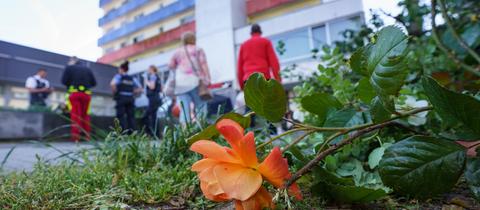 Hochhaus, davor Blumen und Menschen - aus der Froschperspektive fotografiert.