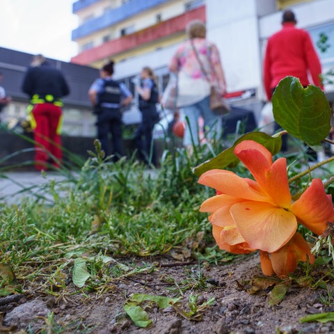 Hochhaus, davor Blumen und Menschen - aus der Froschperspektive fotografiert.