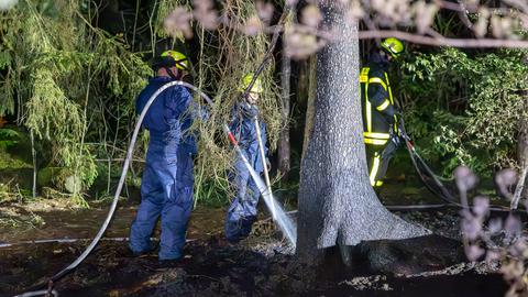 Feuerwehrleute im Wald im Einsatz