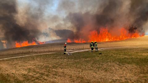 In Haunetal (Hersfeld-Rotenburg) brannten am Dienstag mehrere Felder.