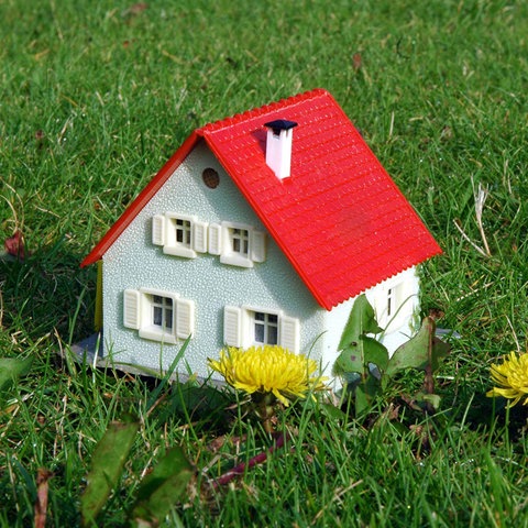 Kombo mit Einfamilienhausmodell auf dem Rasen mit Löwenzahn und Protagonist
