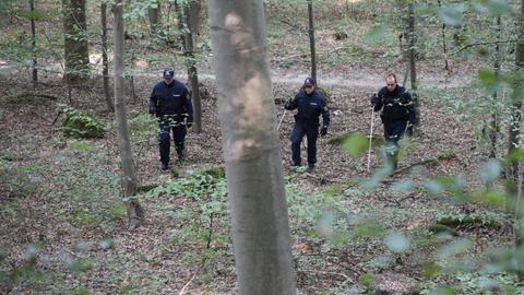 Polizisten Ende August auf der Suche nach der vermissten Frau bei Heidelberg