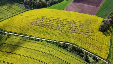 Der Schriftzug "Jana willst Du mich heiraten?" in einem Feld mit gelben Blumen, aus der Luft fotografiert