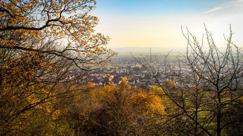Herbst