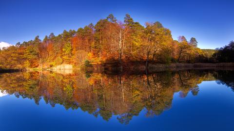 "Der malerische Herbst zeigt sich wieder von seiner schönsten Seite", schreibt Nutzer Frank Giess. Das Foto ist in Grebenau am Schwarzenbachteich (Vogelsberg) entstanden. 