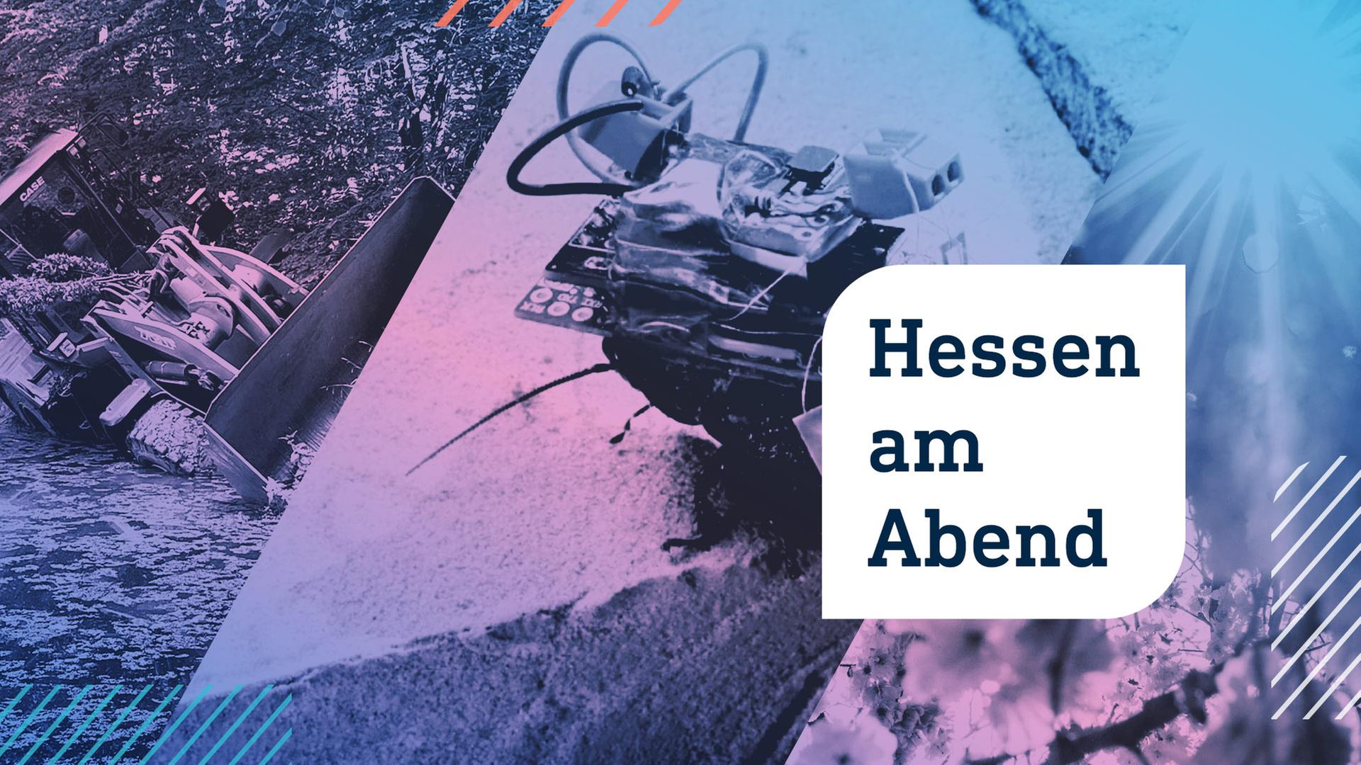 Hessen-am-Abend-D-rre-im-Fr-hjahr-2025-und-Kasseler-Start-up-setzt-auf-Kakerlaken-Cyborgs