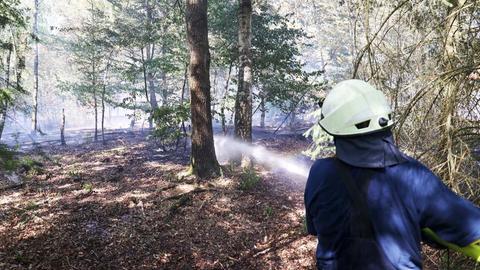 Ein Feuerwehrmann beim Lösch-Einsatz im Wald.