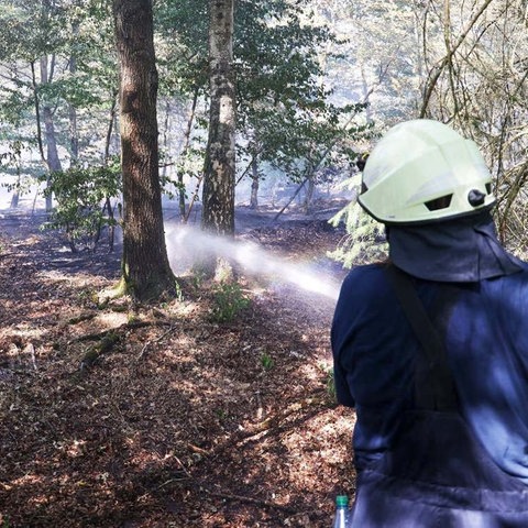 Ein Feuerwehrmann beim Lösch-Einsatz im Wald.