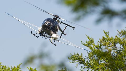 Ein Hubschrauber mit Armen versprüht über dem Frankfurter Stadtwald ein Mittel gegen den Eichenprozessionsspinner.