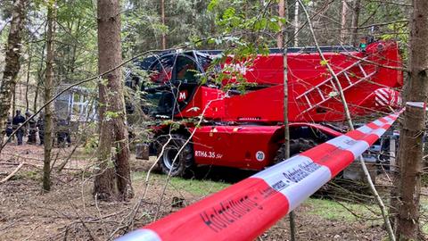 Ein Palettenhubwagen fährt in die Baumhäuser ein