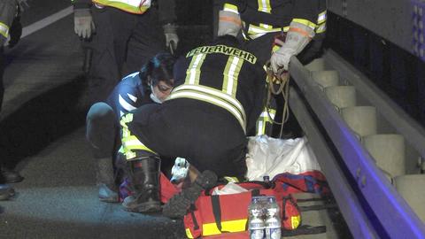 Rettungskräfte beugen sich über einen verletzten Hund, der auf einer Straße liegt.