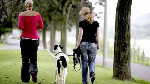 Zwei Frauen gehen mit einem Hund spazieren