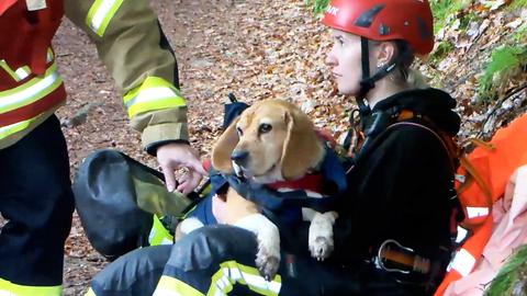 Mann und Frau in Rettungsdienstkleidung. Auf dem Schoß der Frau, die auf einer Waldböschung sitzt, ein Hund.