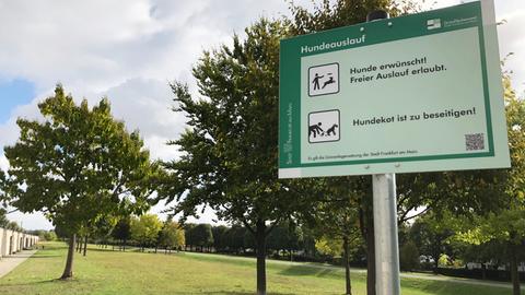 Schild mit Schriftzug "Hundeauslauf"