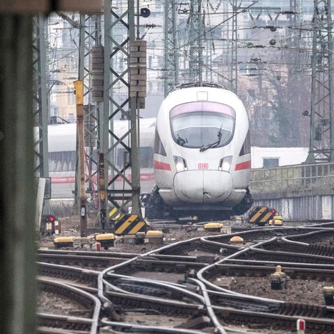 Viele Züge stehen nebeneinander auf vielen Gleisen.