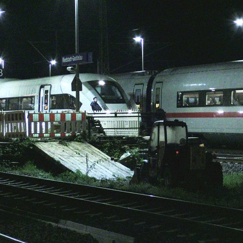Zwei ICE stehen im Bahnhof Riedstadt-Goddelau (Groß-Gerau)