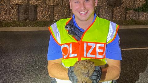 Ein lachender Polizeibeamter mit Warnweste hält den Igel in den Händen. Im Hintergrund eine Lärmschutzwand. 