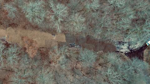 Luftaufnahme eines Waldstücks, in dem auf einer größere Fläche die Erde verfärbt ist.