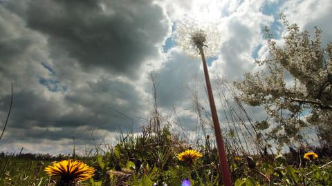 Dunkle Wolken in Kriftel