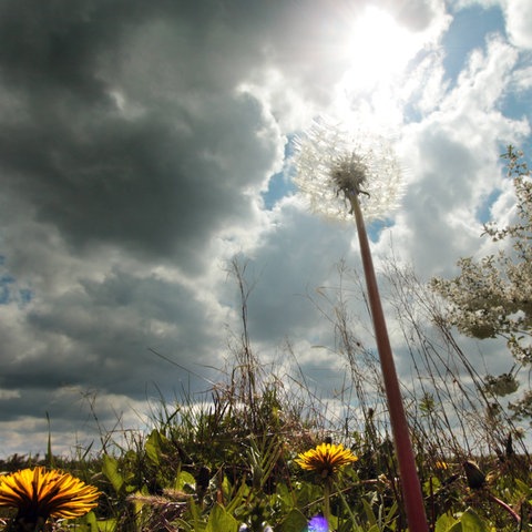 Dunkle Wolken in Kriftel