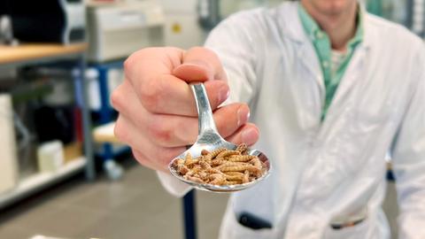 In einem Labor hält ein Mitarbeiter im weißen Kittel einen Löffel mit Mehlwürmern (im Fokus, scharf) in Richtung Kamera und lächelt.
