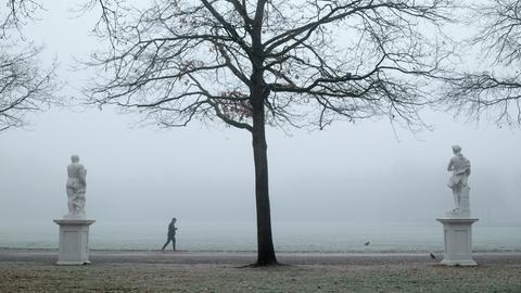 Ein Jogger läuft am frostigen und nebligen Morgen in der Karlsaue an Statuen vorbei.