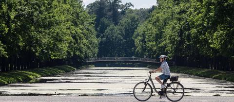 Eine Fahrradfahrerin fährt durch die sommerliche Karlsaue in Kassel