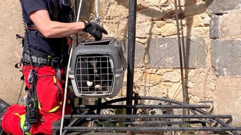Feuerwehrmann mit aus Brunnen geretteter Katze