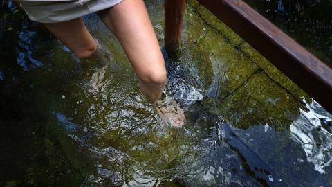 Eine Frau kühlt sich beim Wassertreten in einem Kneipp-Becken ab.