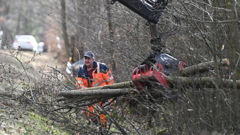Ein Mitarbeiter der Straßenmeisterei räumt mit Hilfe eines Baggers an einer Straße einen abgebrochenen Baum weg.