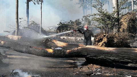 Ein schwarzgekleideter Feuerwehrmann löscht mehrere Bäume