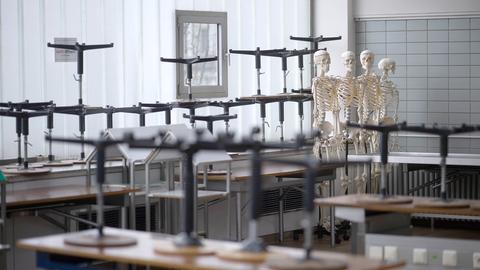 Künstliche Skelette stehen in einem Saal, in dem Studierende der Universität Gießen an Körperspenden arbeiten.